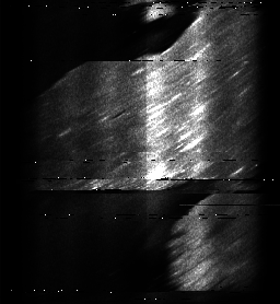 ascat_grayscale_ch4.png